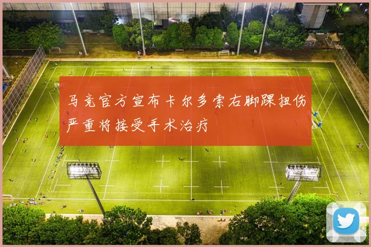马竞官方宣布卡尔多索右脚踝扭伤严重将接受手术治疗