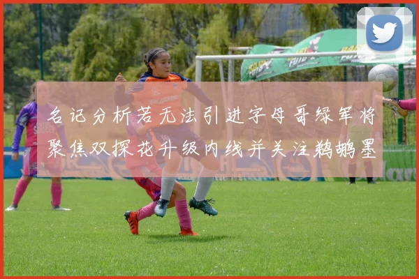 名记分析若无法引进字母哥绿军将聚焦双探花升级内线并关注鹈鹕墨菲